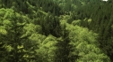the100204_0172.jpg