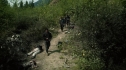 the100204_0248.jpg