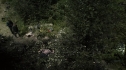 the100204_0261.jpg