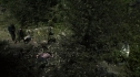 the100204_0262.jpg