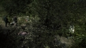 the100204_0263.jpg