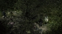 the100204_0264.jpg