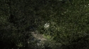 the100204_0266.jpg