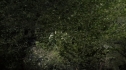 the100204_0267.jpg