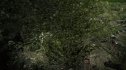 the100204_0268.jpg