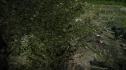 the100204_0269.jpg