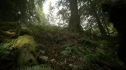 the100204_0579.jpg
