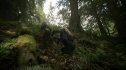 the100204_0581.jpg