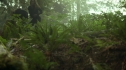 the100204_0586.jpg