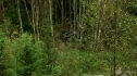 the100204_0589.jpg
