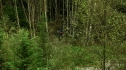 the100204_0590.jpg