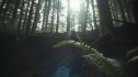 the100204_0595.jpg