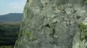 the100204_0619.jpg