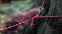 the100204_0639.jpg