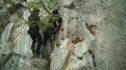 the100204_0654.jpg
