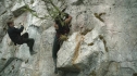 the100204_0664.jpg