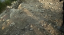 the100204_0682.jpg