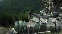 the100204_0960.jpg