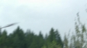the100204_1312.jpg