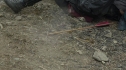 the100204_1313.jpg