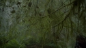 the100205_0462.jpg