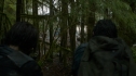 the100205_0467.jpg