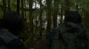 the100205_0469.jpg