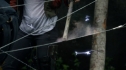 the100205_0676.jpg