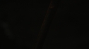 the100205_0957.jpg