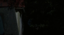 the100205_0999.jpg
