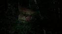 the100205_1330.jpg