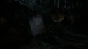 the100205_1334.jpg