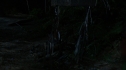 the100205_1339.jpg