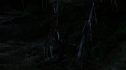 the100205_1340.jpg