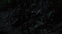 the100205_1349.jpg