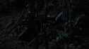 the100205_1350.jpg