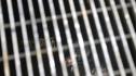 the100205_1477.jpg
