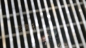 the100205_1478.jpg