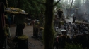 the100205_1525.jpg