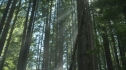 the100205_1657.jpg