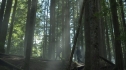 the100205_1659.jpg