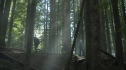 the100205_1660.jpg