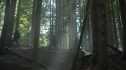 the100205_1661.jpg