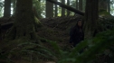 the100205_1666.jpg