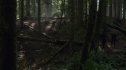 the100205_1673.jpg