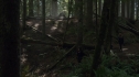 the100205_1674.jpg