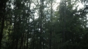 the100205_1963.jpg