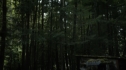 the100205_1964.jpg