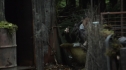 the100205_2036.jpg
