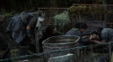 the100205_2068.jpg